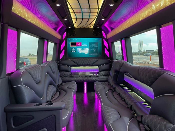Sprinter limo lounge with TV – Laramie limo service
