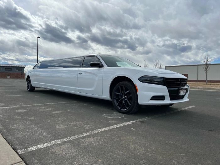White stretch limo – Laramie limo service